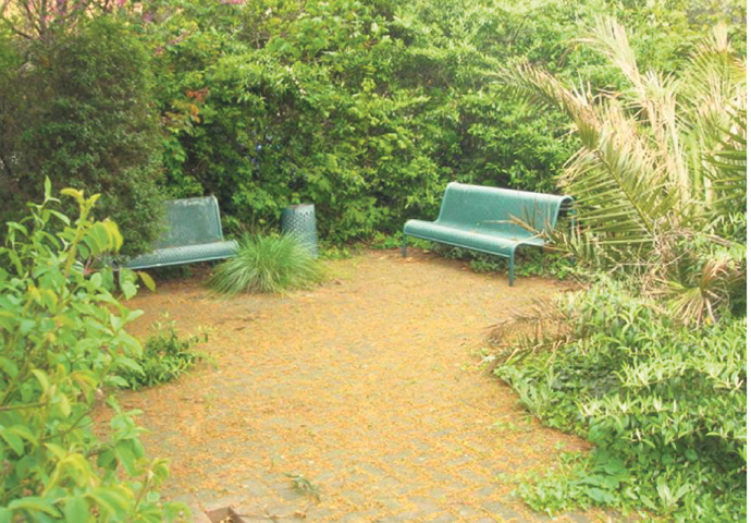 At Dixon Clark Court, it’s more than the trees that will go… Dixon Clark Court garden 2