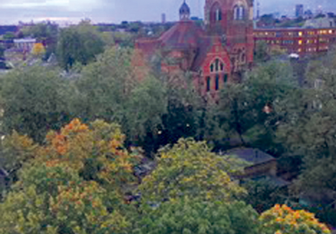 Communal gardens at Dixon Clark Court will also go Dixon Clark Court treesfrom 9th floor 2