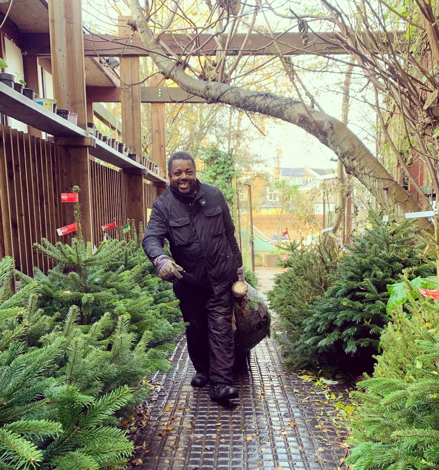 Mill Lane At least you can still get a Christmas tree Islington Tribune