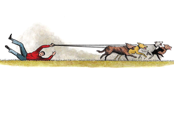 Nine dogs on the Heath was a scary moment Dog Walker Cartoon