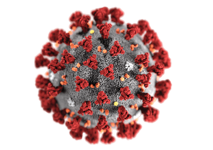 Deadly consequences when good science is suppressed Sars CDC-Alissa Eckert MS Dan Higgins MAM new
