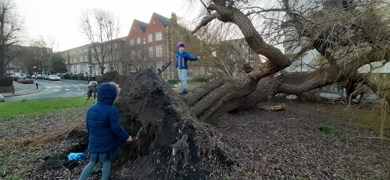 WhatsApp Image 2021-01-21 at 12.23.49 PM