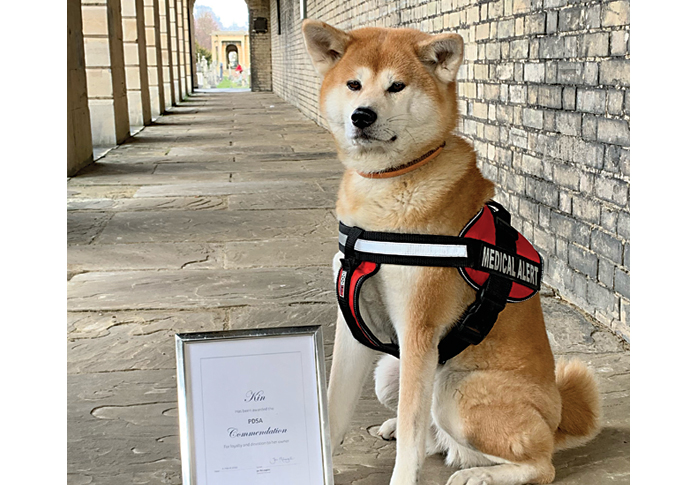 Award for super dog Kin Kin