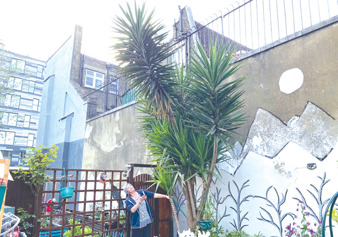 ‘I put the end of a pineapple into a pot… and now I have a tree’ Sandra ONeil