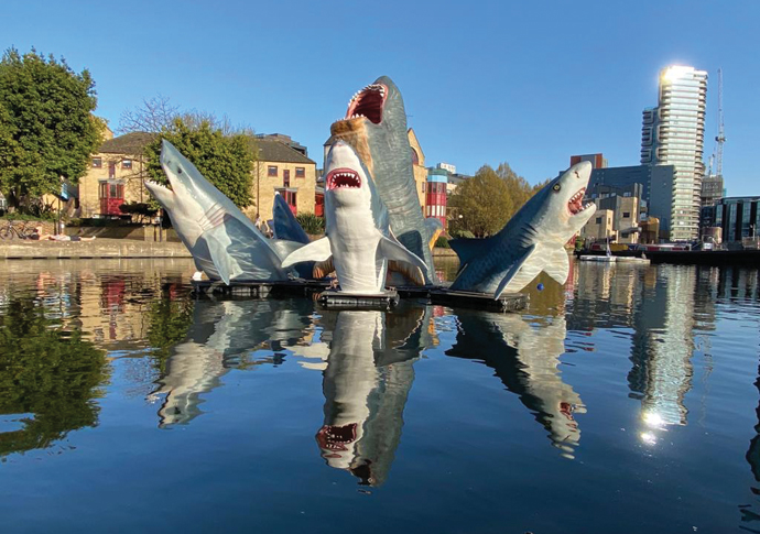 You’re gonna need a bigger basin… Shark installation
