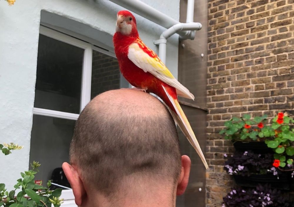 Copy of Copy of Copy of cnj157 (1)