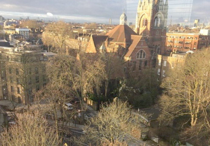 What’s the problem with keeping our precious green spaces? Dixon Clark Court trees