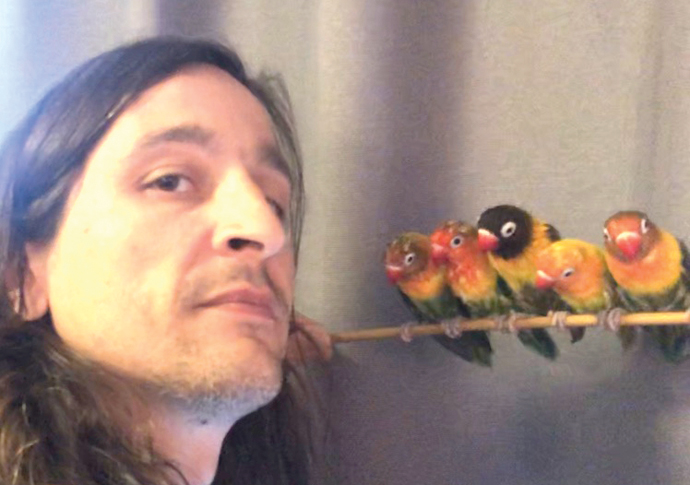 It’s chaos without Caracola, the boss Miguel Fernandez with his pet birds