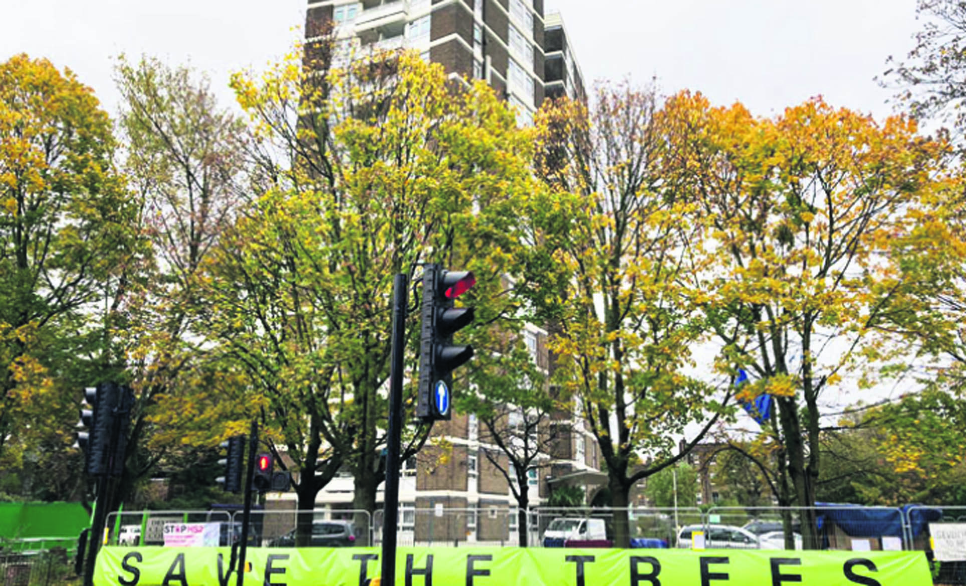 Dixon Clark Court little forest