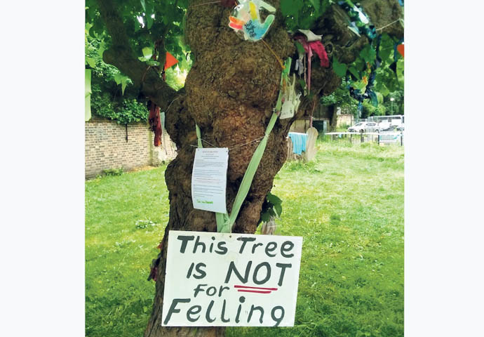 Park View estate tree