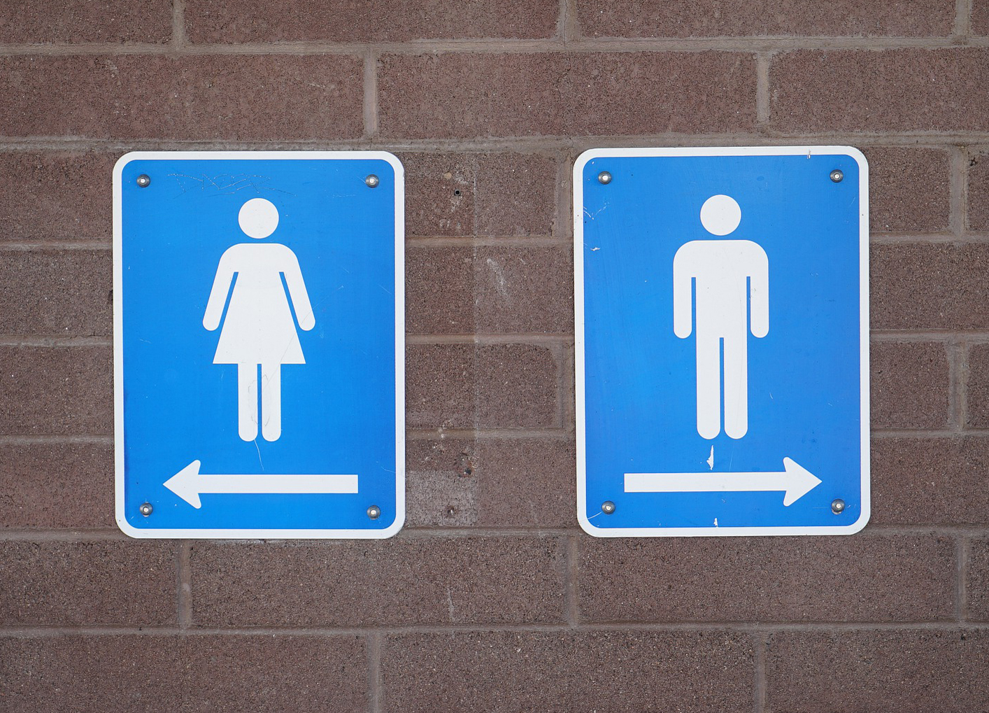 Use old Victorian toilets for… toilets, council told Toilet