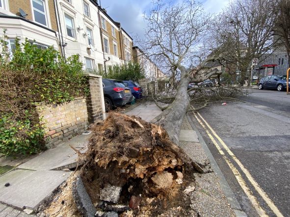 Storm Eunice hits Islington 9
