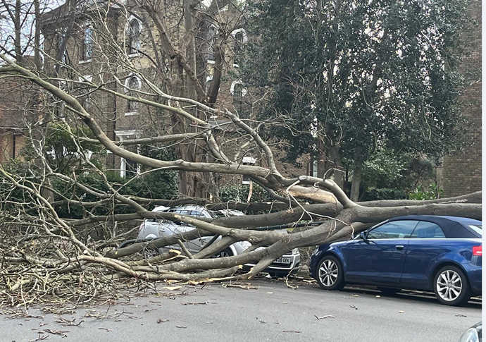 Storm Eunice blasts in! Tree down_Aberdeen Park_Sam Loveridge new 2