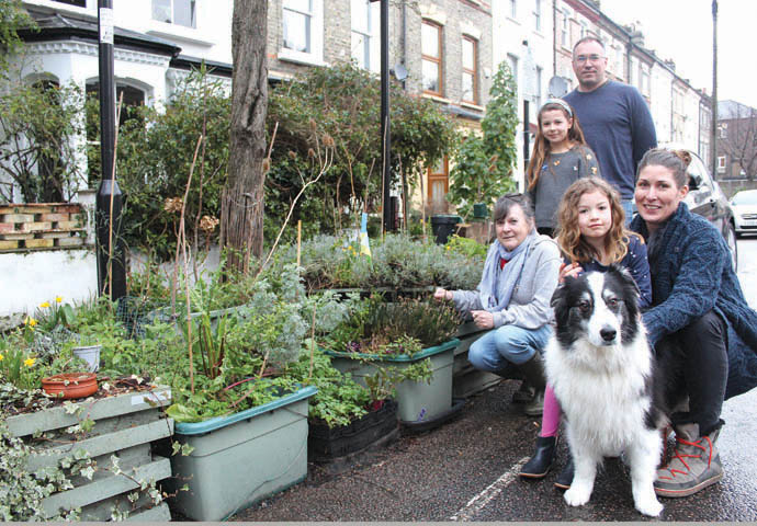 Mayton Street planters