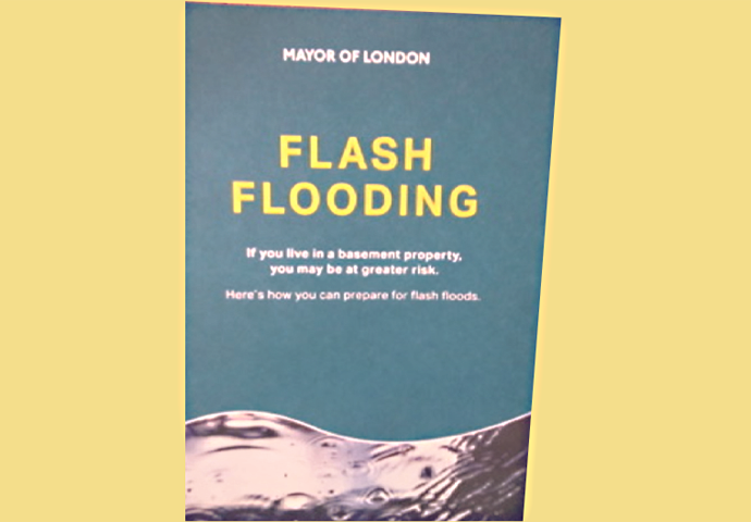 The borough has too few green spaces Flash Flooding leaflet