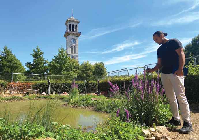 Water world: Wildlife to benefit from new pond New pond