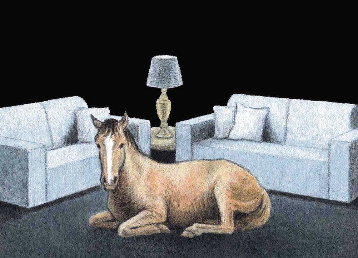 Where’s the horse sense in inequality? Horse Living Room_John Sadler