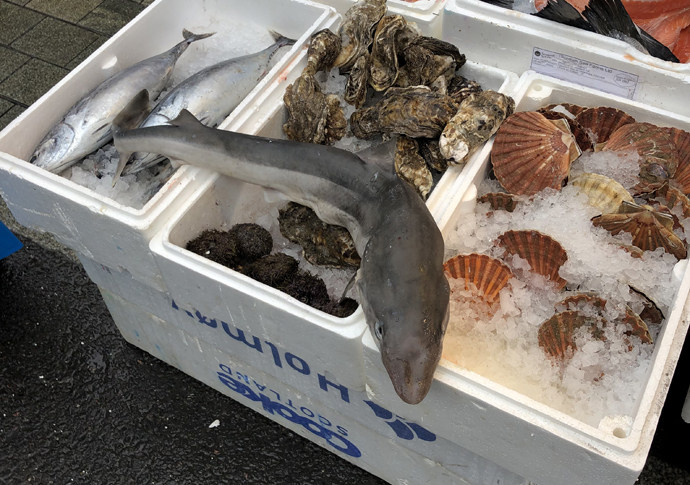 Sale of sharks at market comes under fire chapel market shark-