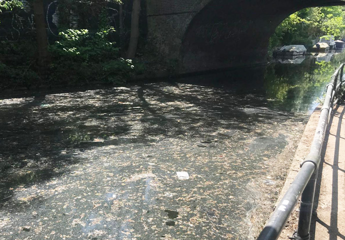 Major incidents put canal out of action Canal oil