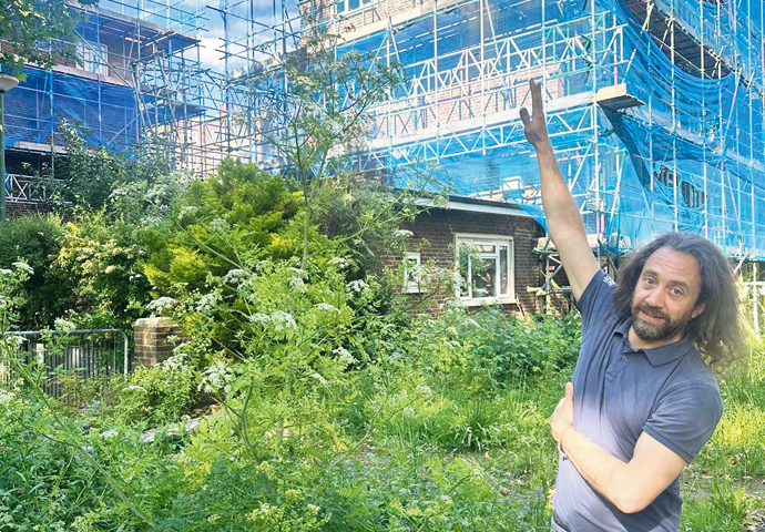 Invasion of the ‘health hazard’ plants on estate joel and hemlock