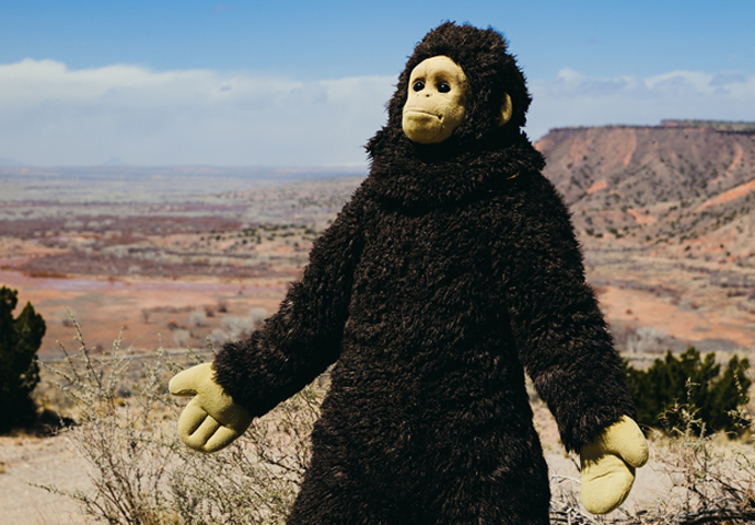 Nina’s monkey business