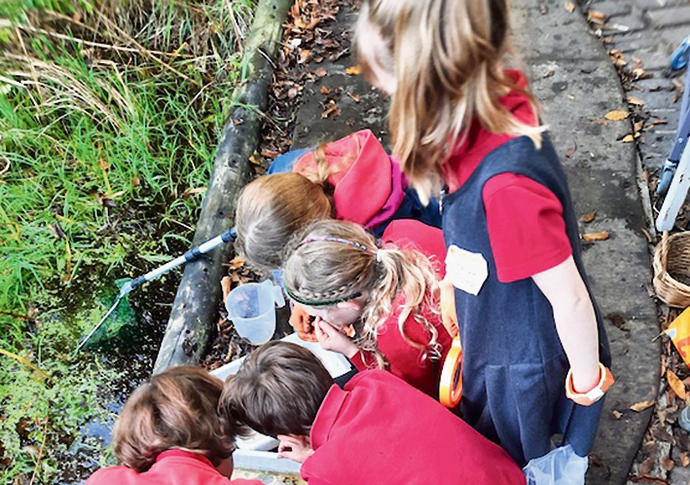 We’re a tad short of frogspawn! Tufnell Park primary school
