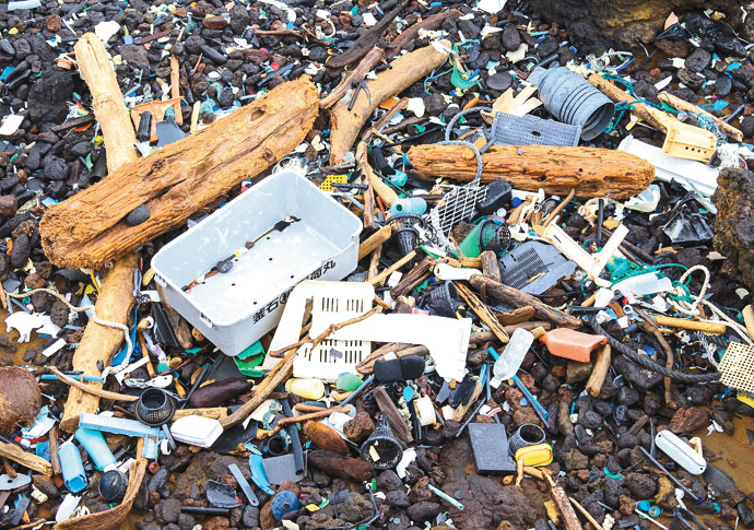 ‘Given how prolific plastic is in every part of our life, how have they managed to stay out of the public story for so long?’