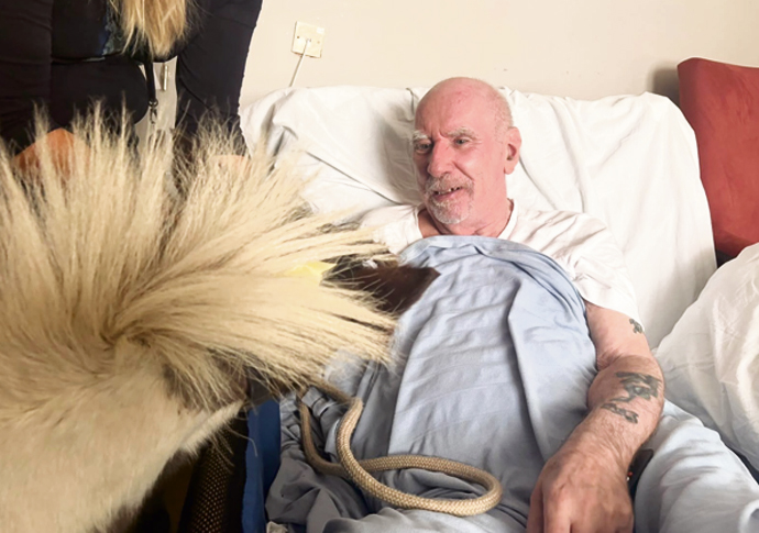 Pony’s a small wonder at care home Pony